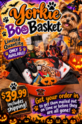 Halloween Yorkie Boo Basket